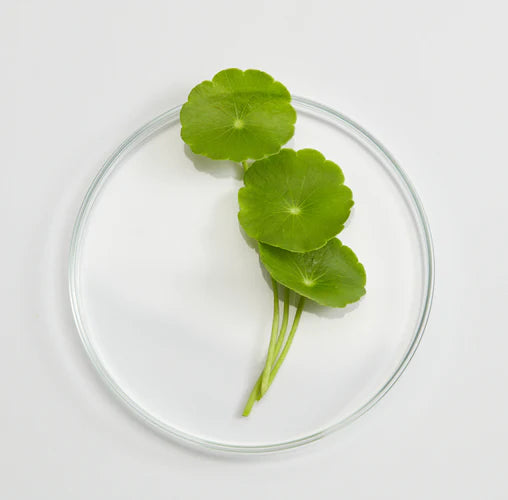 Cosmetic Ingredients Worth Investing In: What Should You Know?